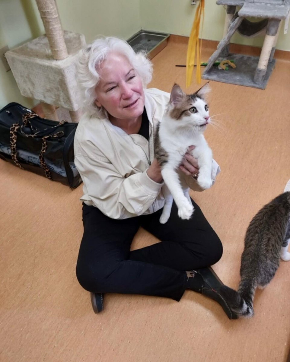 SPCACincinnati's tweet photo. Hope you’re having a wonderful #Caturday! We’d say things are going purrrfect🐾… overjoyed that these beautiful sweet cats have found their people — making the best cuddle buddies on this chilly day! Our staff wishes #PooBear, #Goyle, #Malfoy, #Crabble and #Gary the very best. https://t.co/vhxBAyvvtm