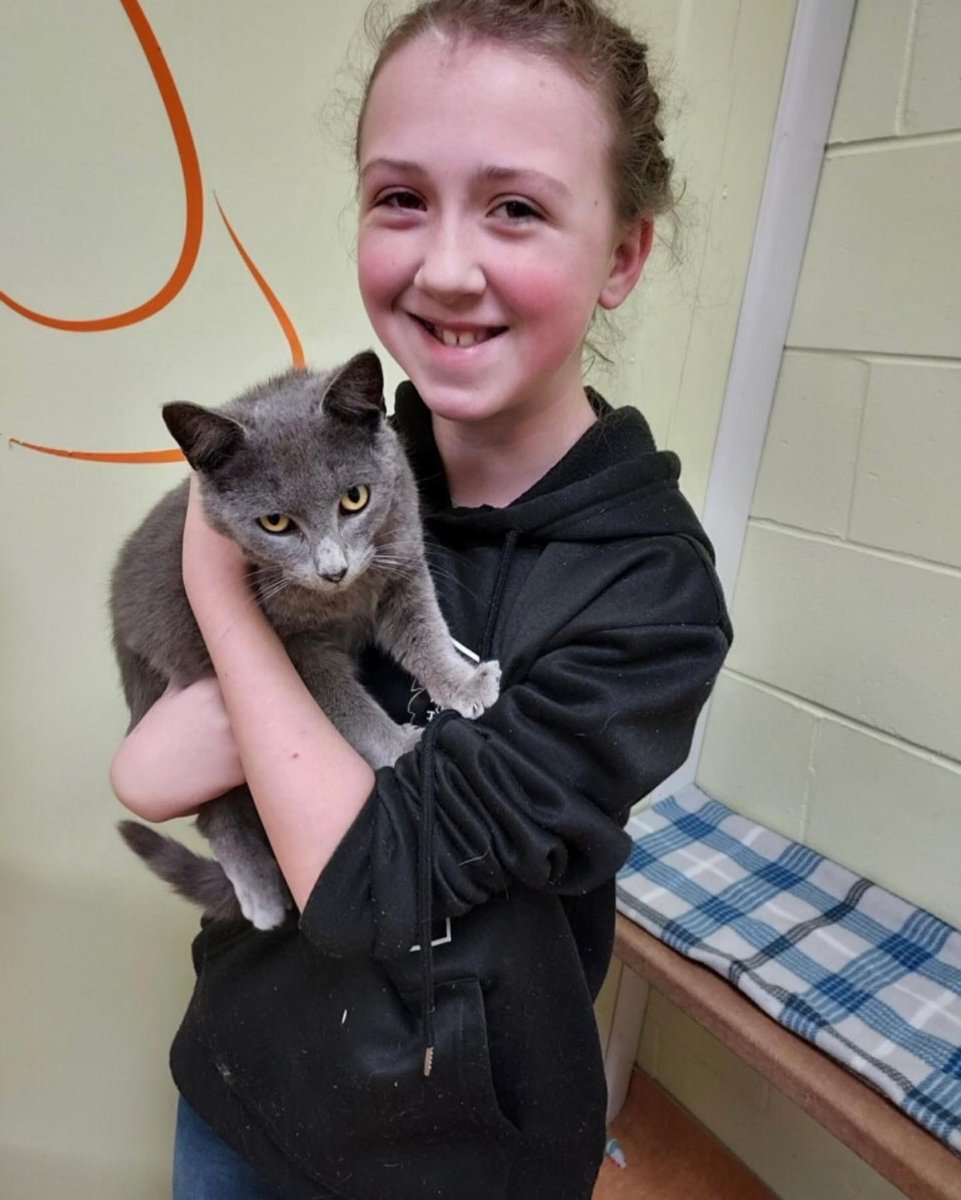 SPCACincinnati's tweet photo. Hope you’re having a wonderful #Caturday! We’d say things are going purrrfect🐾… overjoyed that these beautiful sweet cats have found their people — making the best cuddle buddies on this chilly day! Our staff wishes #PooBear, #Goyle, #Malfoy, #Crabble and #Gary the very best. https://t.co/vhxBAyvvtm