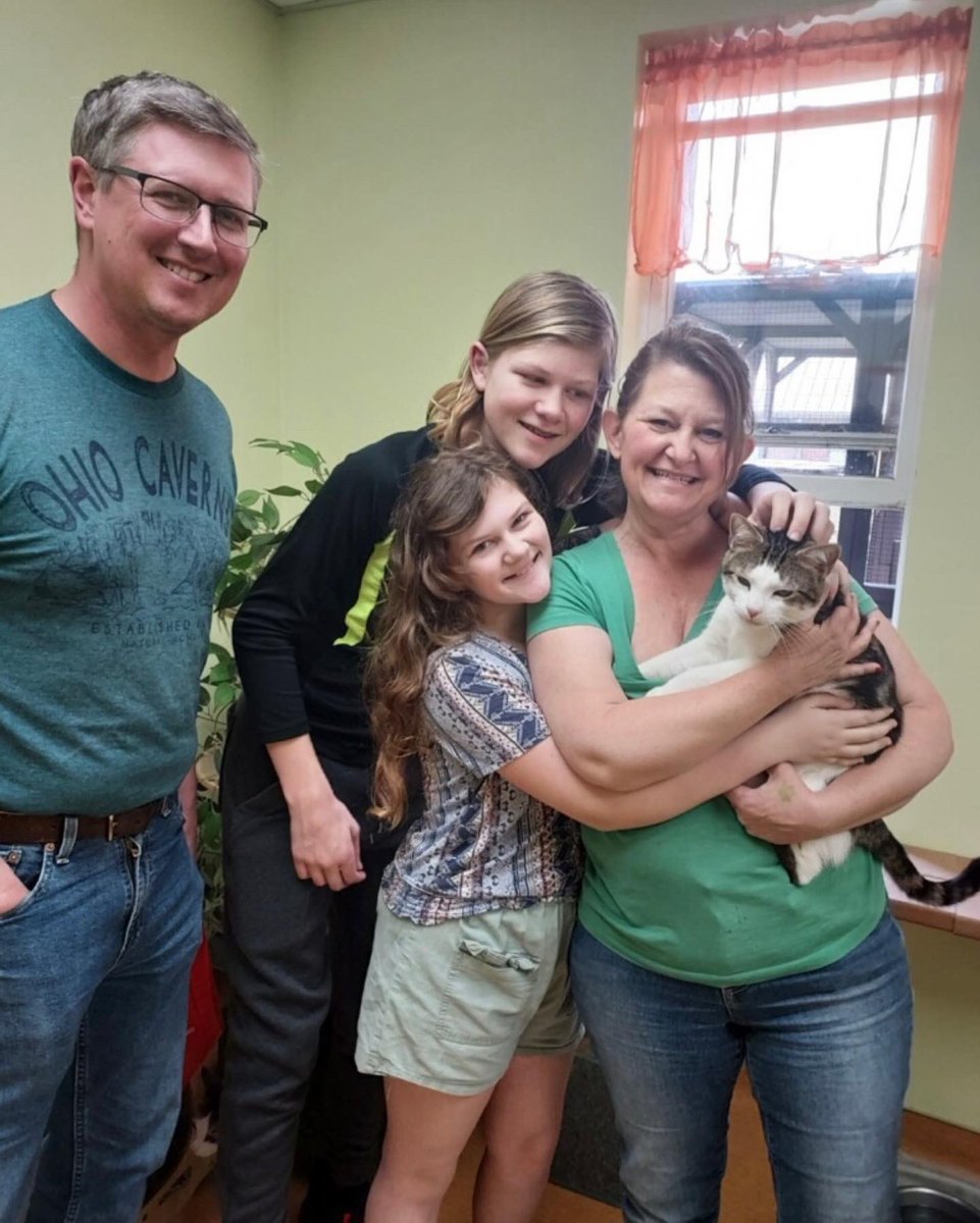 SPCACincinnati's tweet photo. Hope you’re having a wonderful #Caturday! We’d say things are going purrrfect🐾… overjoyed that these beautiful sweet cats have found their people — making the best cuddle buddies on this chilly day! Our staff wishes #PooBear, #Goyle, #Malfoy, #Crabble and #Gary the very best. https://t.co/vhxBAyvvtm