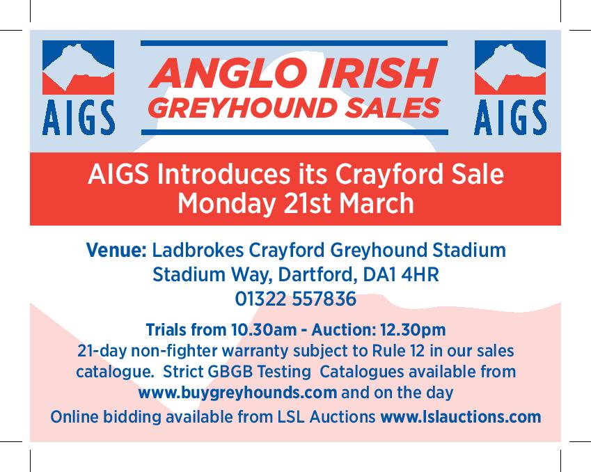 AnIrGreySale's tweet photo. We have a catalogue full to the brim of exciting young talent at our @CrayRaceOffice @Crayforddogs sale on Monday, March 21, Catalogues are available from https://t.co/0mHzDlPR3n and remote bidding options are at @LivestockLive1. https://t.co/clKCVR8daL