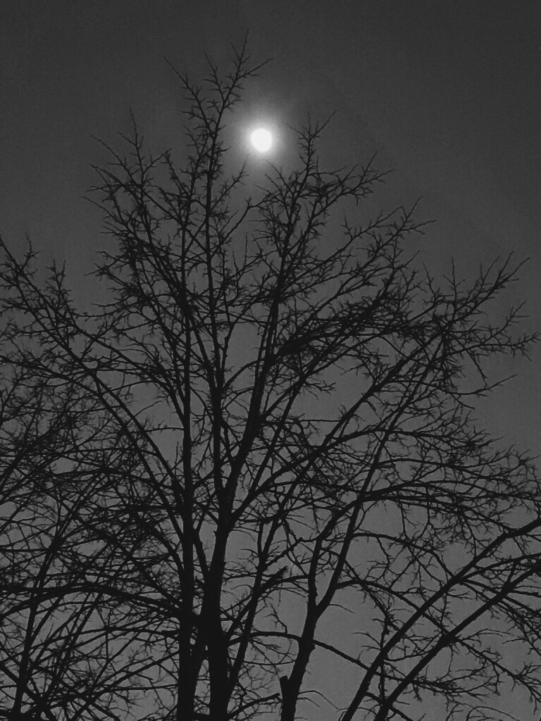 Ellen.art (@artelle22) on Twitter photo 