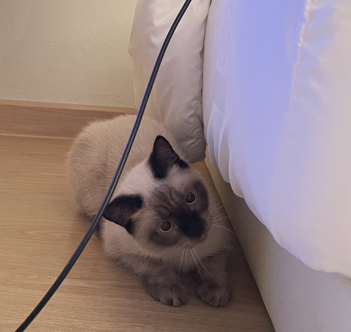 อยากรู้อยากเห็นหนึ่ง