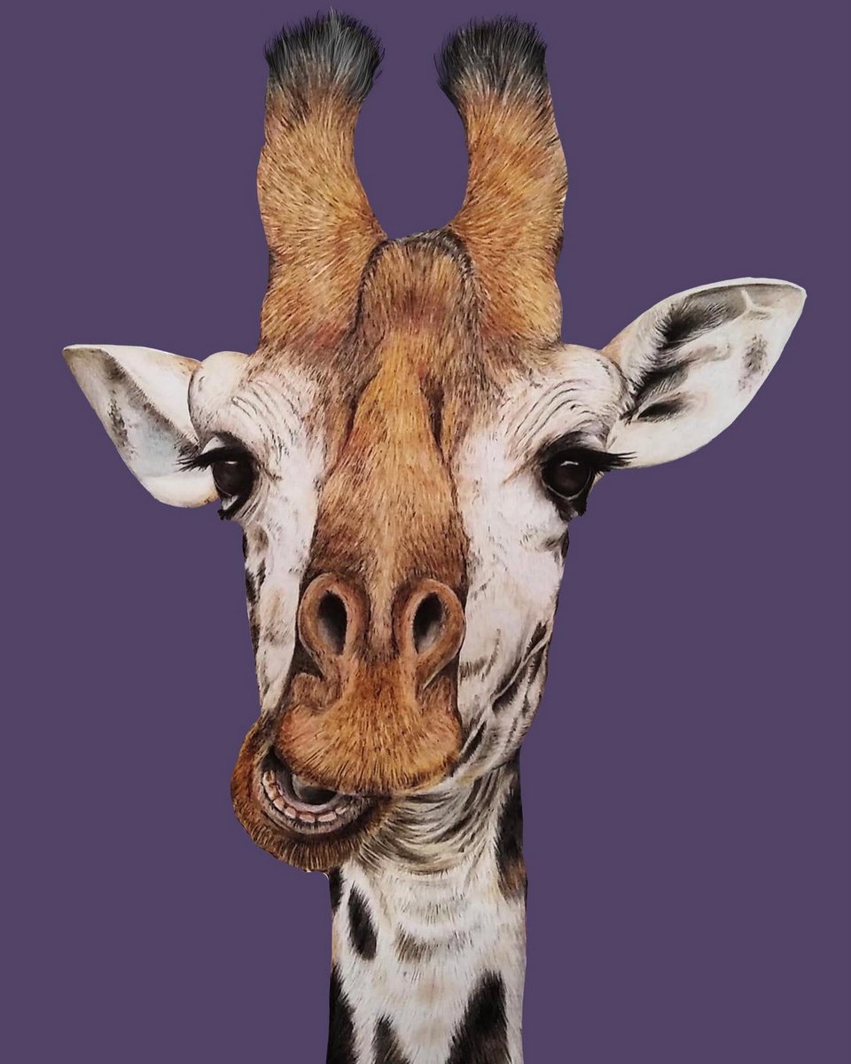 SophieBlissArt's tweet photo. SOLD ๐
Iโm really chuffed ALL these 4 sold today! The feeling never gets old when people purchase your work got go on their walls ๐ฅฐ
Donโt forget you can order these in various sizes too!
#artforsale #canvasart #3wisemonkeys #giraffe #wallart #supportlocal #SupportSmall https://t.co/BeuQYThjYa