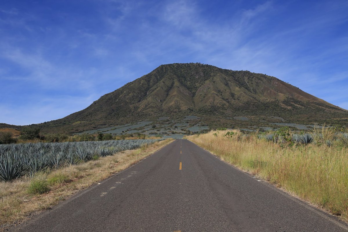 ¿En dónde nos espera la aventura?🛣️

#LaPuertaALaMagia