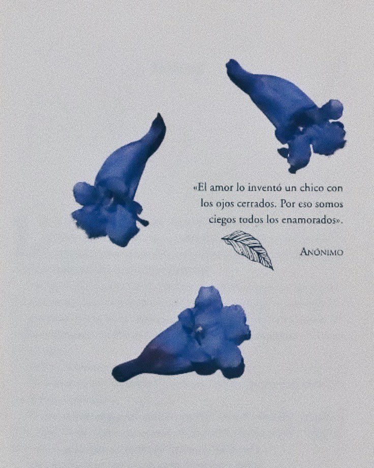 Flor Salvador 🦋 (@ekilorhe) on Twitter photo 