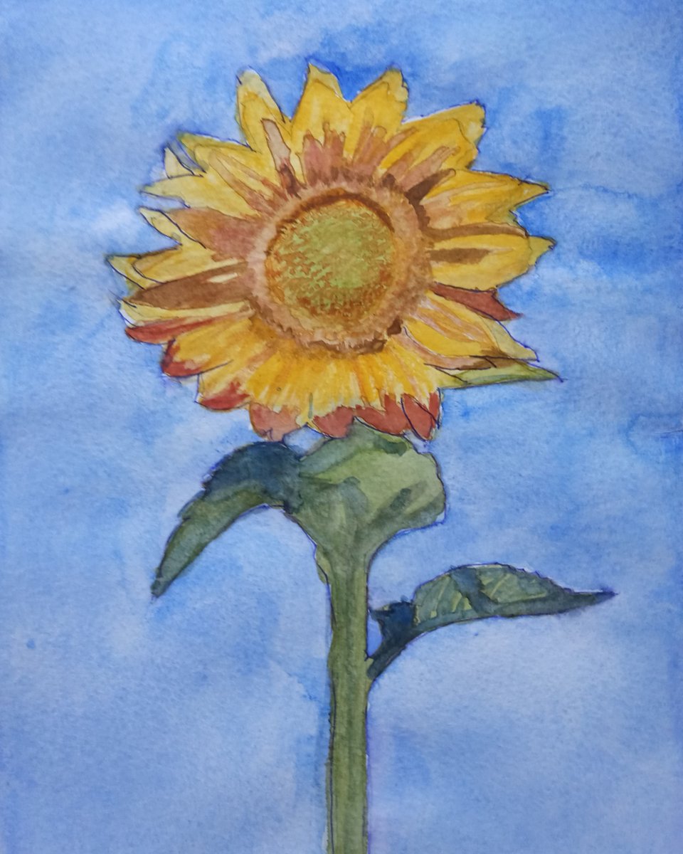ToplisJane's tweet photo. A sunflower for Ukraine. https://t.co/UZBSFqWLDj