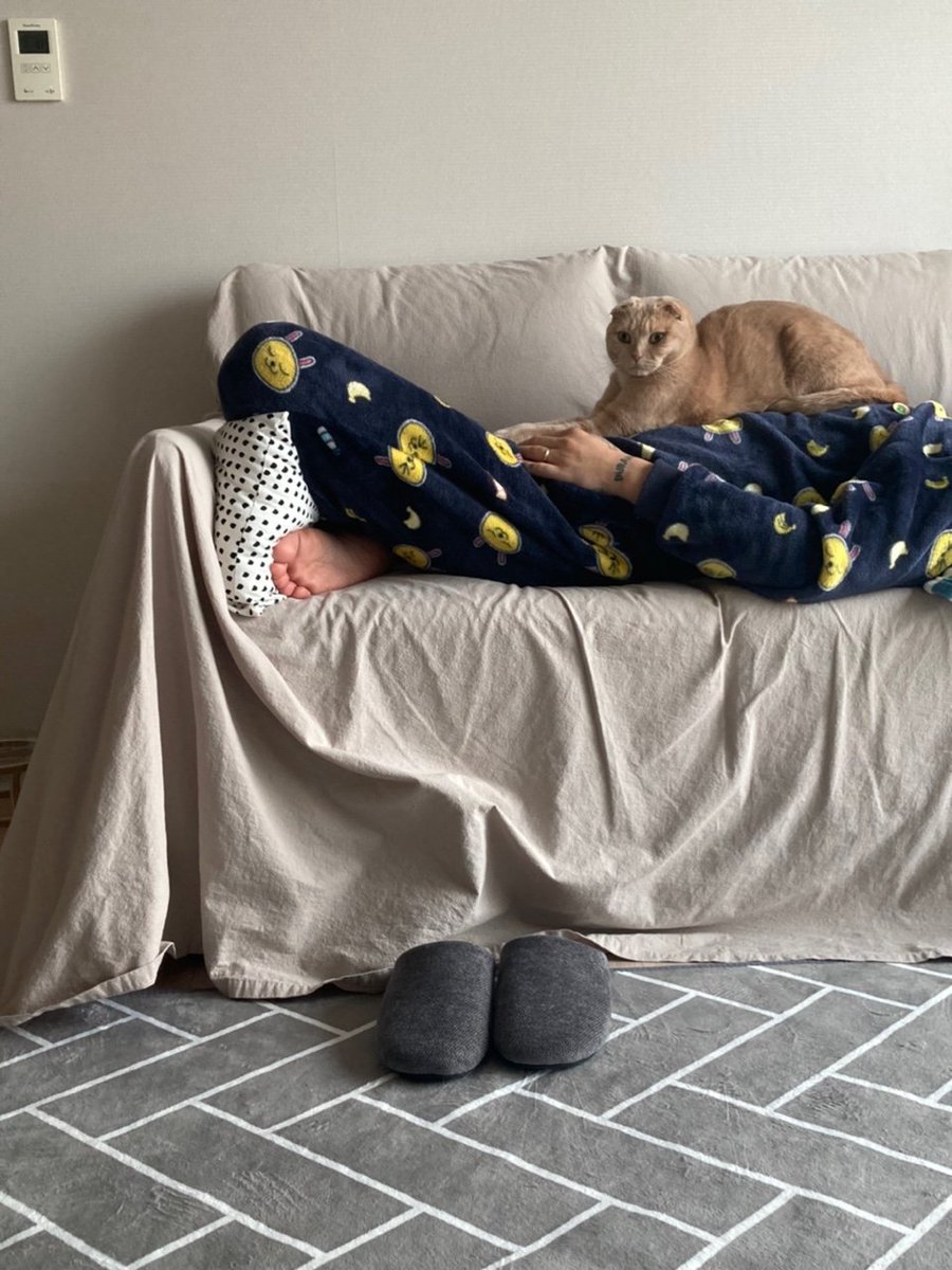 Dooos24's tweet photo. #NFT #NFTartists #opensea #cat
#NFTCommunity #nftcollector 

We speak different languages.
So there are times when we don't understand each other.
But when he comes on top of me,
I can feel that he loves me. https://t.co/DodZDZh6ZF