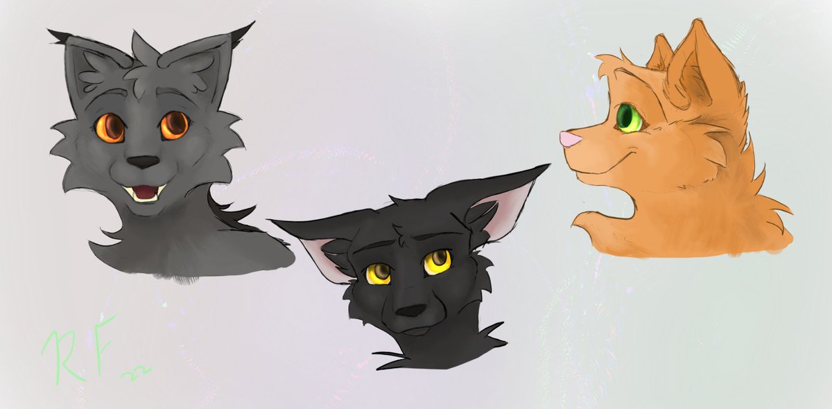 I wanna start posting more of my art stuffs so here's a little drawing of the original three Warriors boys back when they were 'paws :) #warriorcats