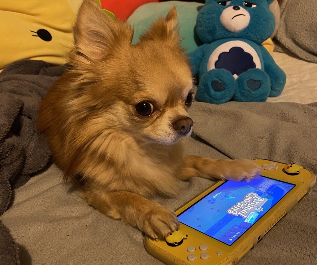 misty_horizons's tweet photo. he’s playing some animal crossing 🥰 https://t.co/4DrUoDHS6N
