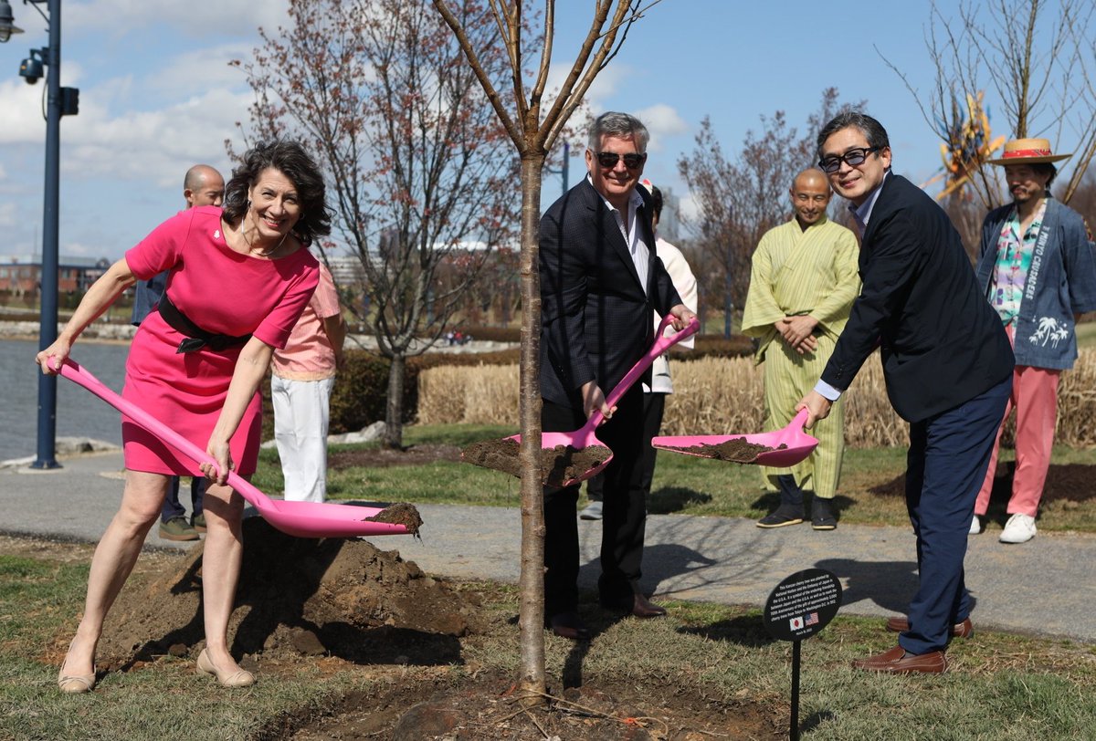 JapanEmbDC's tweet photo. Celebrating the #110YearsinBloom anniversary of the gift of cherry blossom trees from Japan to the US and @CherryBlossFest, we're at @NationalHarbor for a riverside tree planting, with the help of @minyocrusaders! https://t.co/or8u57OAAr