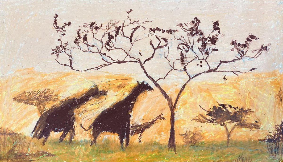 David Rankin tweet media