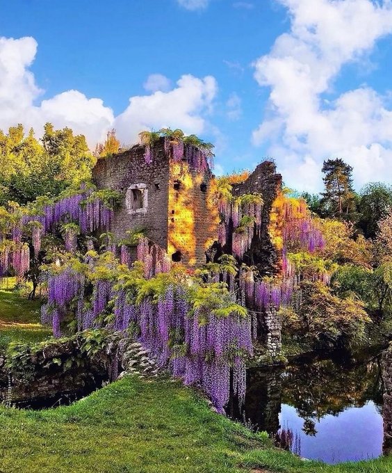 春を感じる場所、ニンファの庭園😘 📌 / https://t.co/zHtv7Y0qBn @Italia from @visit_lazio 📸 IG @ lazio_ig