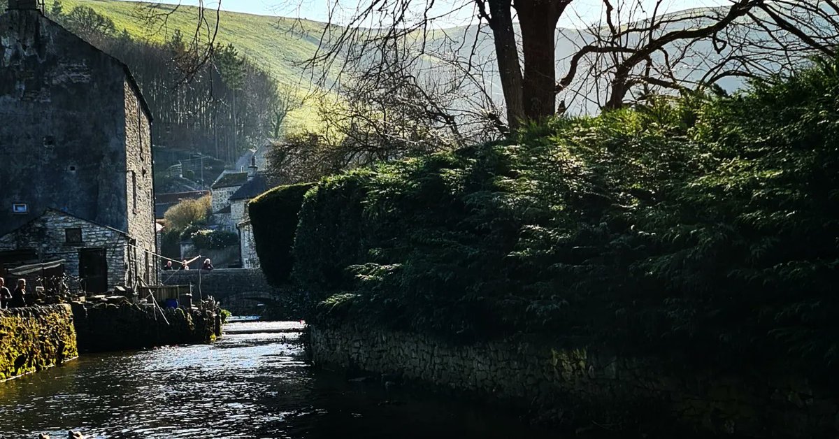 PAW348's tweet image. 