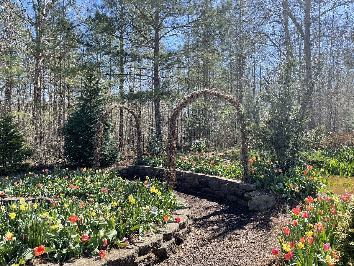 Dr_YiranSu's tweet image. For those who need a little bit of sunshine right now. #writingday