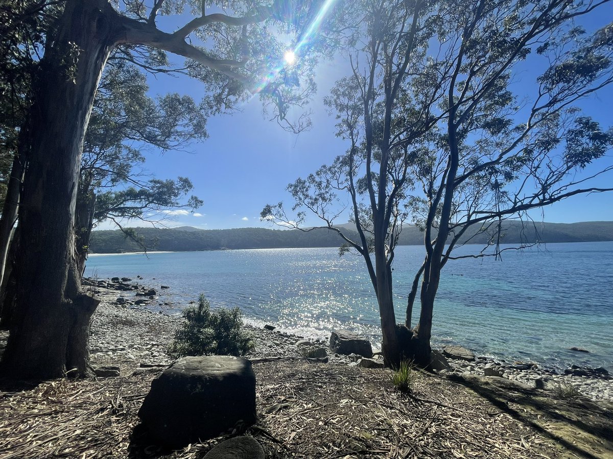 rozbergoz's tweet photo. Day 4 ✔️ Leaving the most challenging day to last. And finishing with an icy swim at Fortescue Bay. What a day. More stairs than I even wish to climb again but an incredible feeling at the end, and a very sleepy bus ride to Hobart! Thank you @TasWalkingCo 👏 #ThreeCapesTrack https://t.co/C9eUZg5K7D
