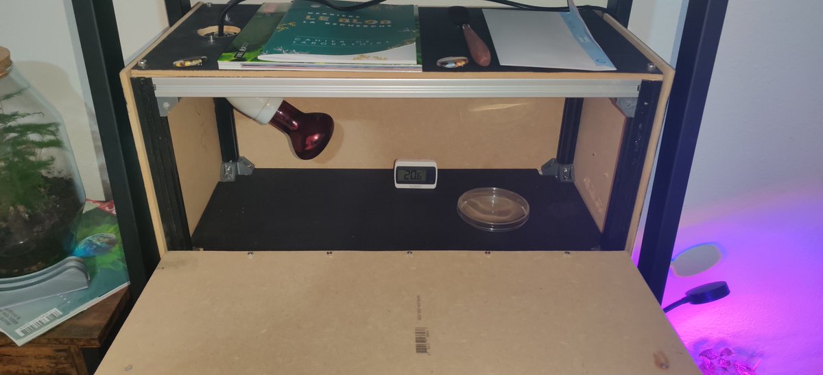 Blob box bientôt prête !
Je me suis un peu emballé mais ça va rendre pas mal je pense. 
Un petit raspberry pi est greffé dessus pour prendre des mesures. 
#BlobCNRS