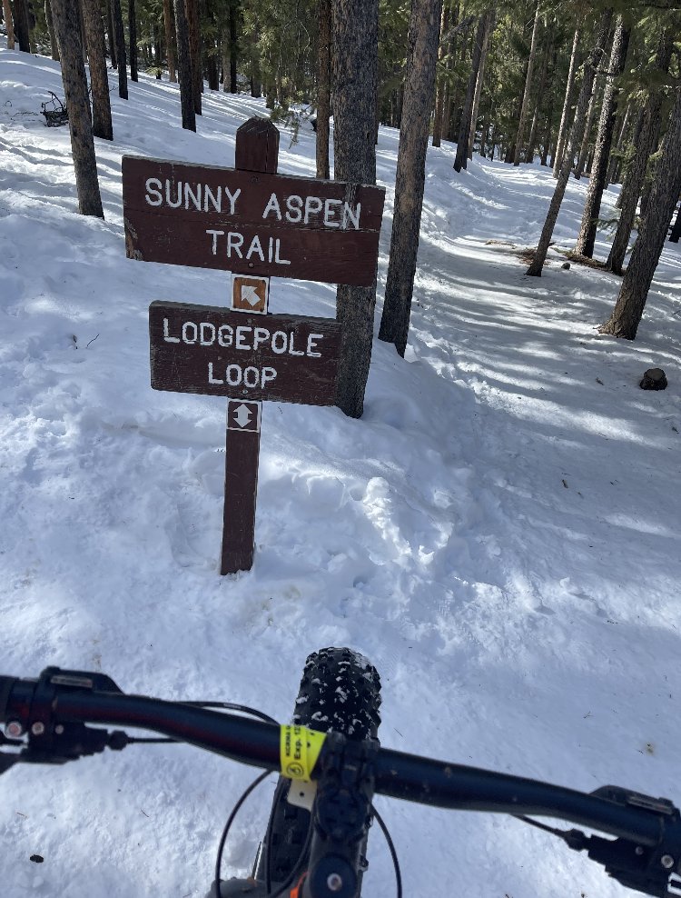 303Triathlon's tweet photo. New podcast! How data is making pro cycling more competitive and dangerous! Plus, the week's endurance highlights including Clash Miami results, The Barkley Marathons, 2021 Triathletes of the Year &amp; Front Range Bike and Brews by 303 contributor Rob Quinn.  https://t.co/rUKuxIBG47 https://t.co/wsbtY8Mqog