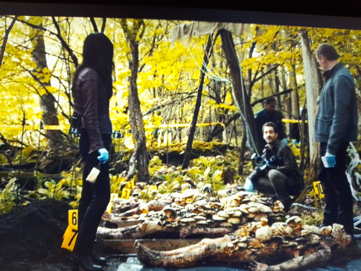 Aboutteacupsan1's tweet photo. Love #TeamSassyScience
#HannibalRewatch #HonorEveryPart https://t.co/Z0k3ifYIhy