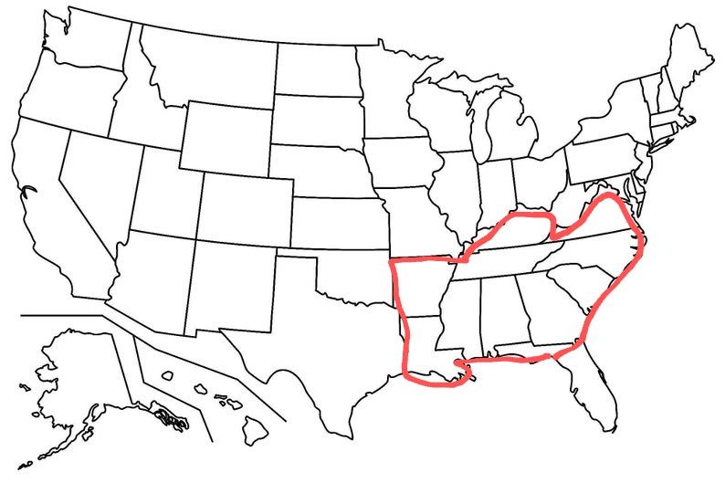 Matt Smith, M.D. tweet media