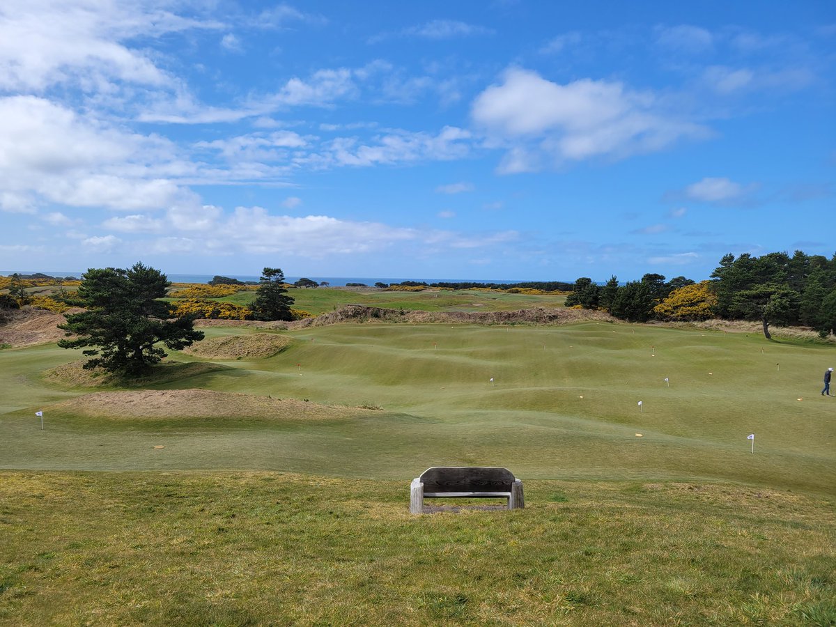 Ryan Dahl tweet media