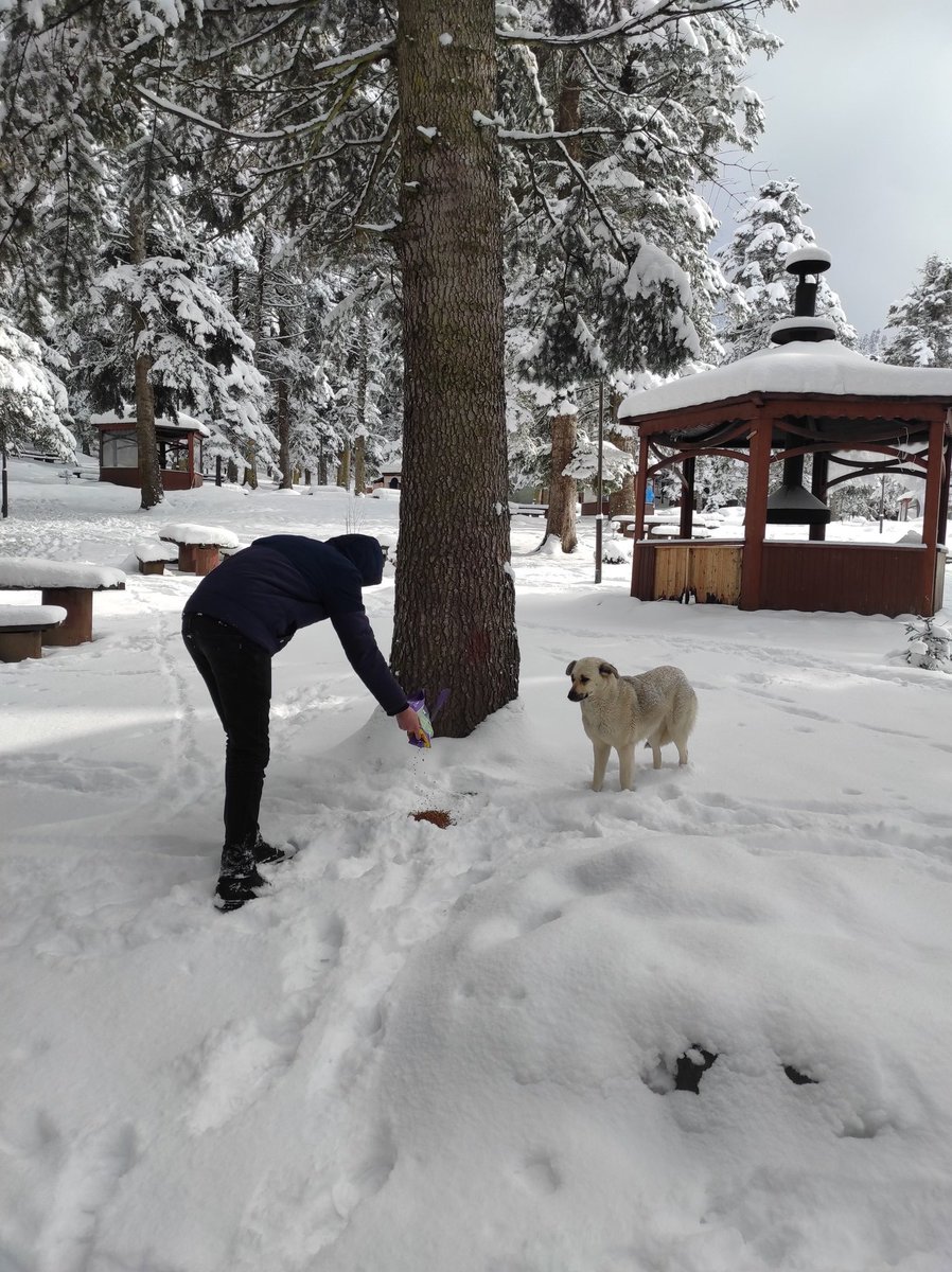 baibu_adem's tweet photo. Bolu ADEM Öğrenci Topluluğu olarak üyelerimizle birlikte Gölcük Milli Parkı'na gezi düzenledik. Katılan arkadaşlarımıza teşekkür ediyoruz. Birlikte nice güzel etkinliklerde buluşmak dileğiyle 🤗 https://t.co/XJU2Nkg55U