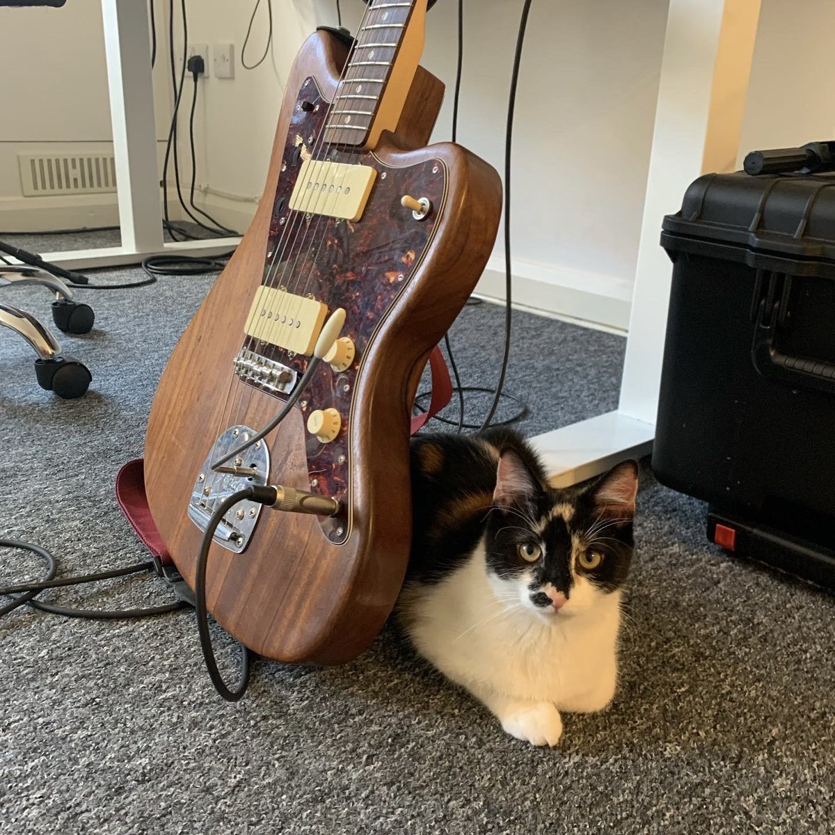 Danny George tweet media