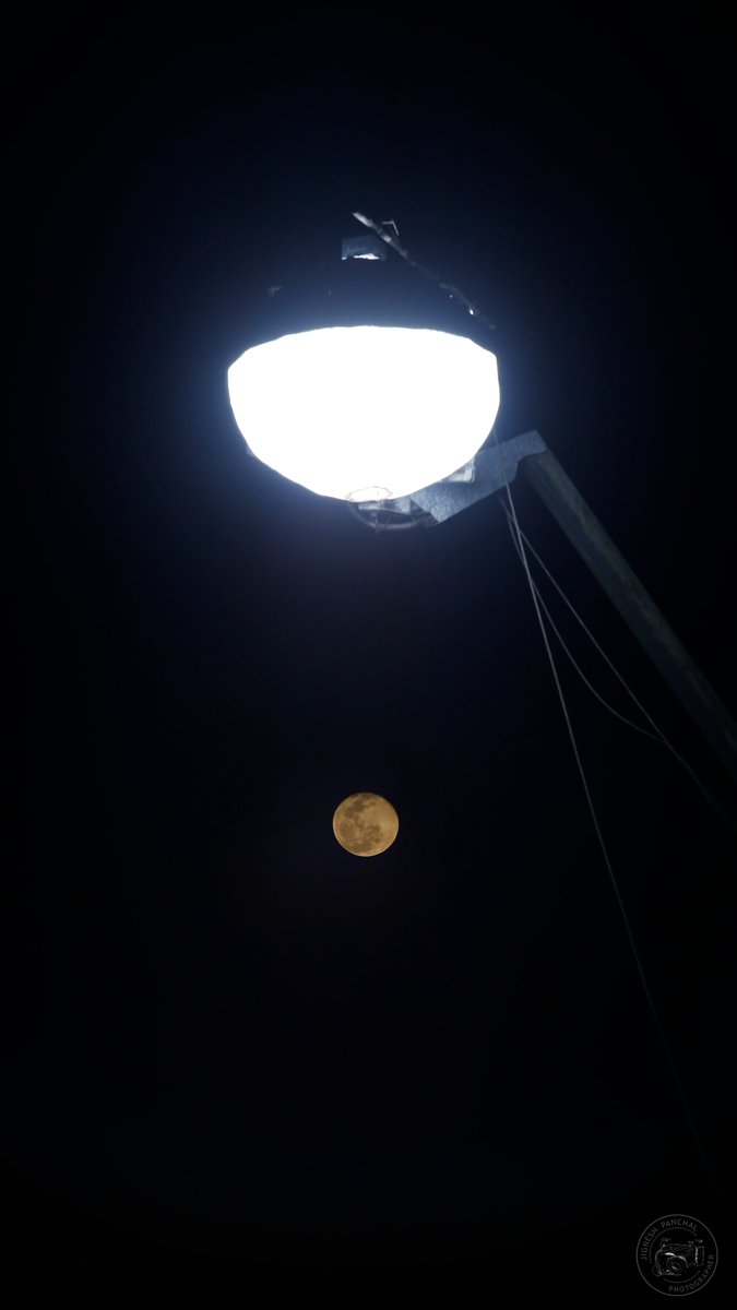 JigneshCPanchal's tweet photo. Not all the attractive things are loveable, but I can make every loveable thing photogenic. #framingFrames
#CapturedOnCanon #NetGeoYourLens https://t.co/aH9LjWtjE5