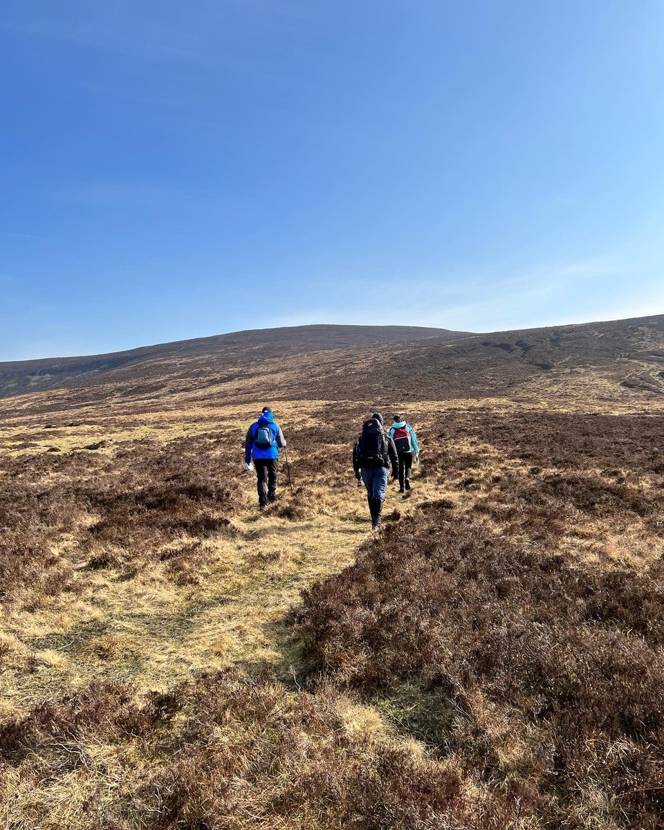 LittleBigAdventures tweet media