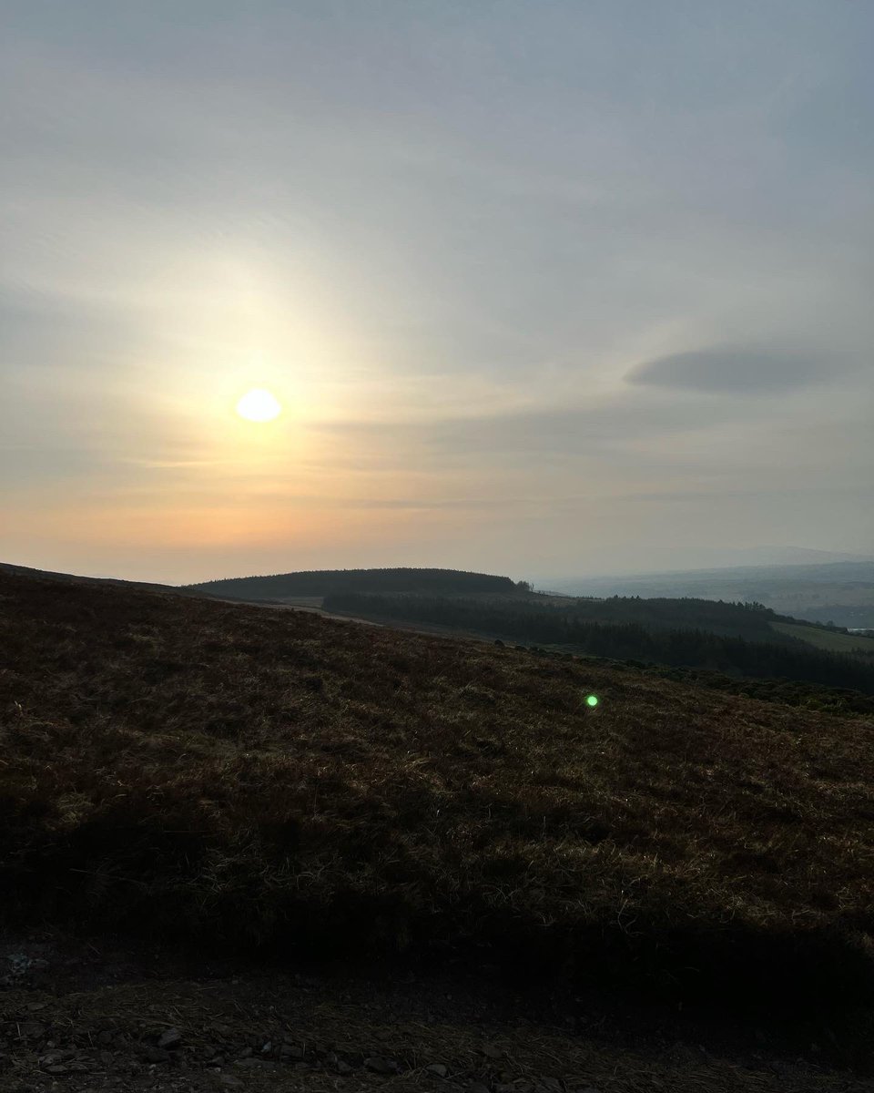 LittleBigAdventures tweet media