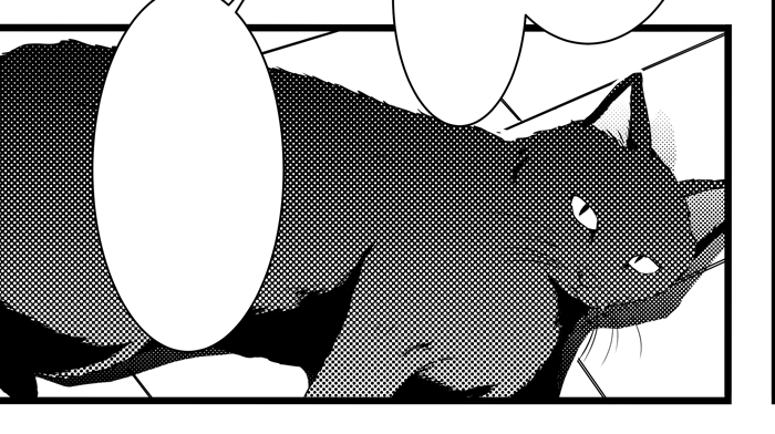 ぬこ🐈 