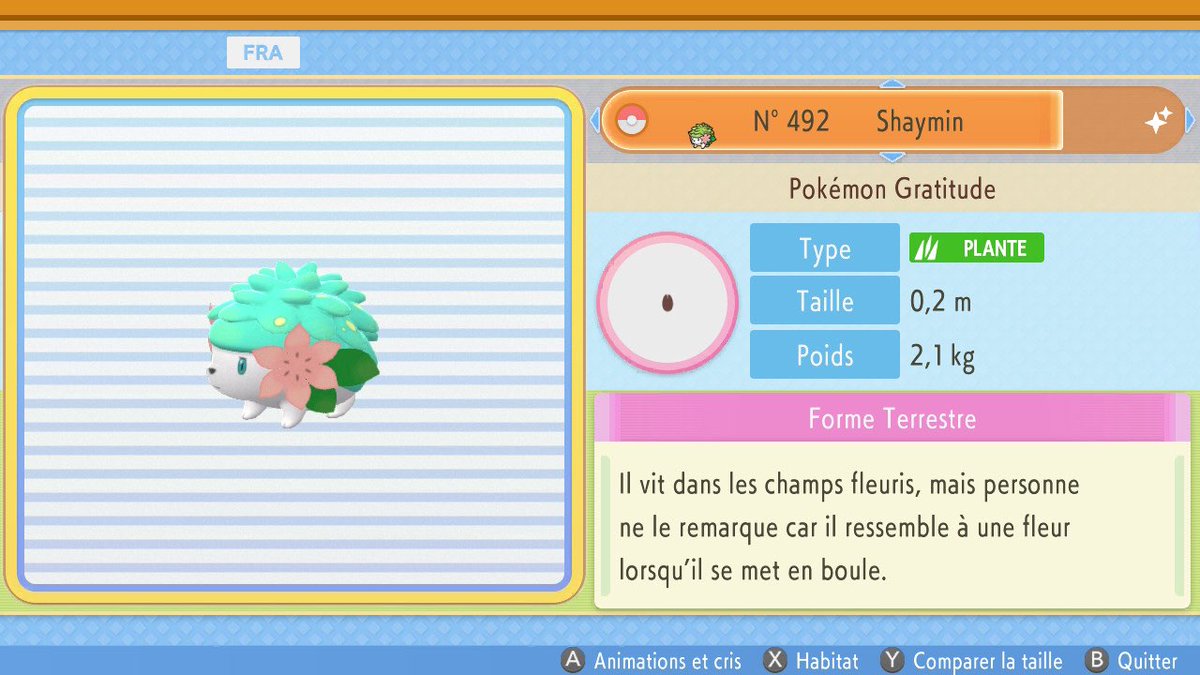 Après 296 fuites ! Le petit fabuleux se nommant Shaymin apparaît ! 
J'ai mal screen lors de la rencontre, j'avais oublié que la capture d'écran était très simple sur Switch ^^

Donc je vous affiche quand même quelques screens assez beaux ! ^^  #ShinyPokemon #shinyhunting