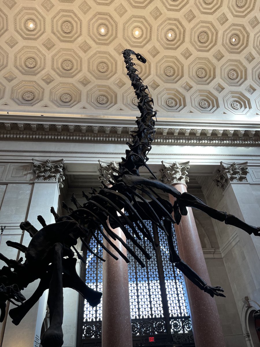mmdevoe's tweet photo. Still cool. #amnh #nyc #lostbuthappy https://t.co/8nKjETUboz