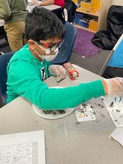 Daffron_5th's tweet photo. Mrs. Tousant's Class - Deep in thought while dissecting owl pellets! Day 2 of #CampOnCampus 
@pisdoutdoor @DaffronDeputies https://t.co/IjzhWLuPO1