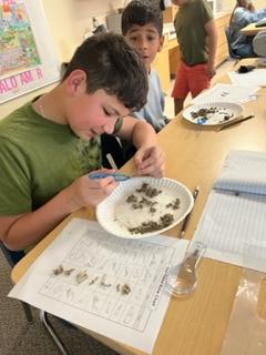 Daffron_5th's tweet photo. Mrs. White's Class - Wild about their discovery of what is inside an owl pellet! Day 2 of #CampOnCampus 
@pisdoutdoor @DaffronDeputies https://t.co/Mfx7DOzRqs