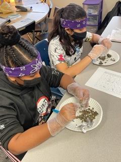 Daffron_5th's tweet photo. Mrs. Tousant's Class - Deep in thought while dissecting owl pellets! Day 2 of #CampOnCampus 
@pisdoutdoor @DaffronDeputies https://t.co/IjzhWLuPO1