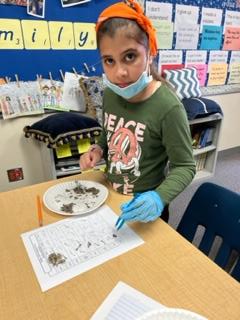Daffron_5th's tweet photo. Mrs. White's Class - Wild about their discovery of what is inside an owl pellet! Day 2 of #CampOnCampus 
@pisdoutdoor @DaffronDeputies https://t.co/Mfx7DOzRqs
