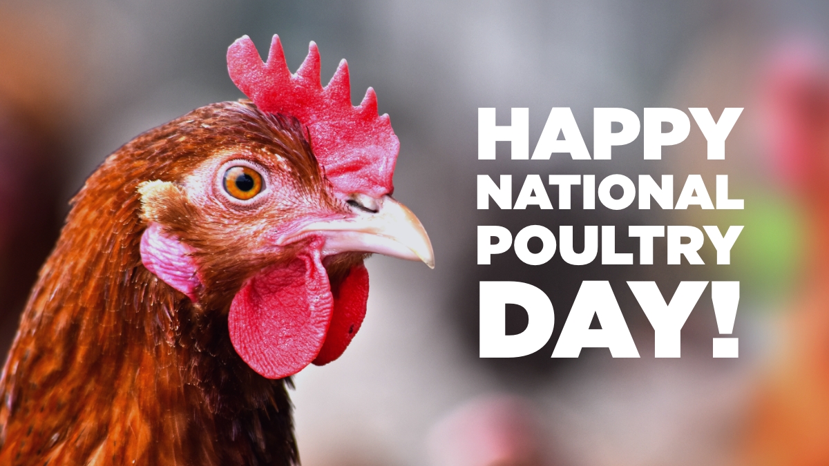 thomas_pump's tweet image. Poultry accounts for over 30% of meat production in the world! We are proud to be a part of this industry. We make plant sanitation an efficient and streamlined process during a critical time.

#thomaspump #nationalpoultryday #tgto #plantsanitation