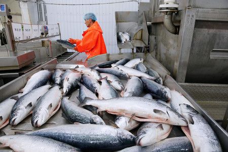 Cube Quebec / Oceatec tweet media