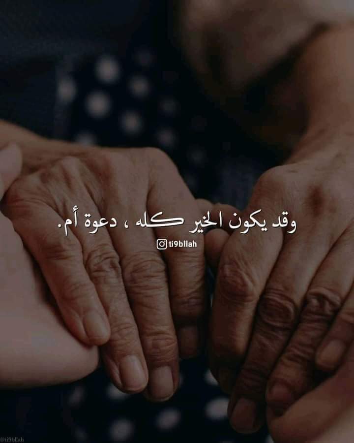 سعد الدرسي 🇦🇹 tweet media