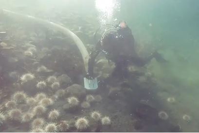 Cube Quebec / Oceatec tweet media