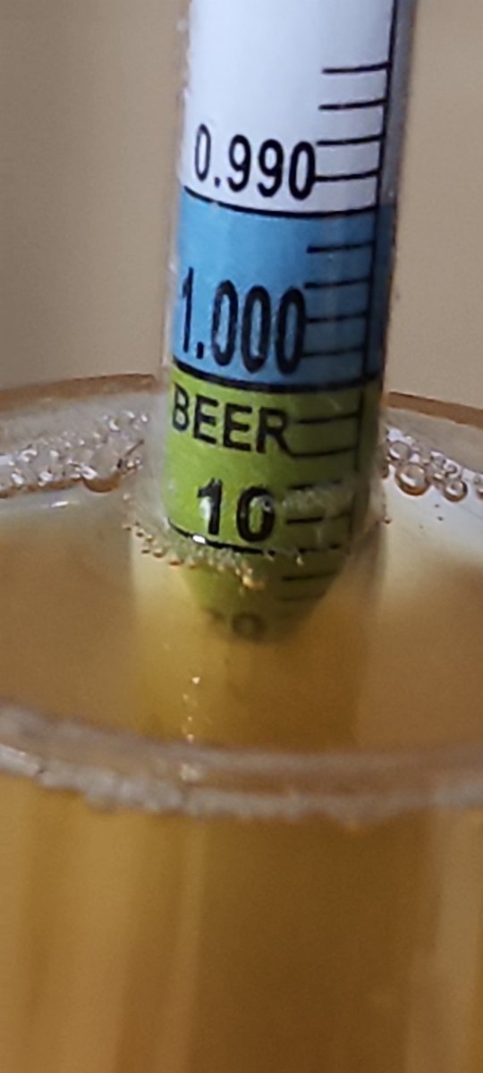 Looking like our bonus beer for <a href="/NKCSpringFling/">Rotary Spring Fling Beer Fest</a> is on track for a late entry. We think you'll be impressed with this one too. #cheers #imakebeer #homebrew #nkcspringfling