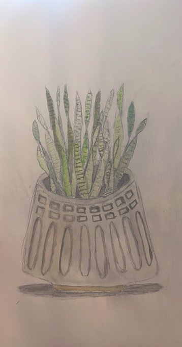 Watercolor updates, tryna get good enough to start an Etsy I&rsquo;d say I&rsquo;m 1/4th of the way there https://t
