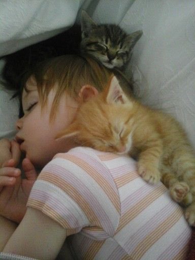 cuteanimalspict's tweet photo. https://t.co/MKZIEuFywb
