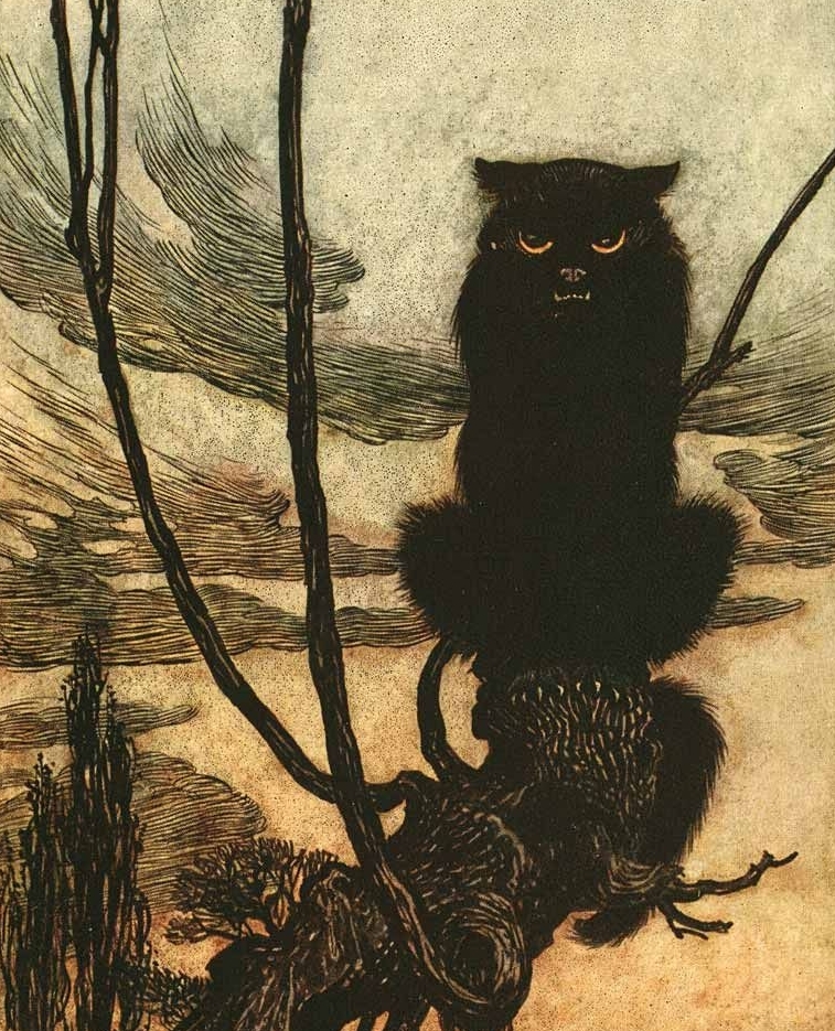 fairytalefixpod's tweet photo. The demon cat by the king of fairy tale art, #ArthurRackham. Ok, ok, this is from Jorinda and Joringle, we know. But we haven’t read that story yet! And this cat definitely looks like it would tear you limb from limb if you tried to deny it fish, so we’re going with it. https://t.co/E9L7PBQjbE