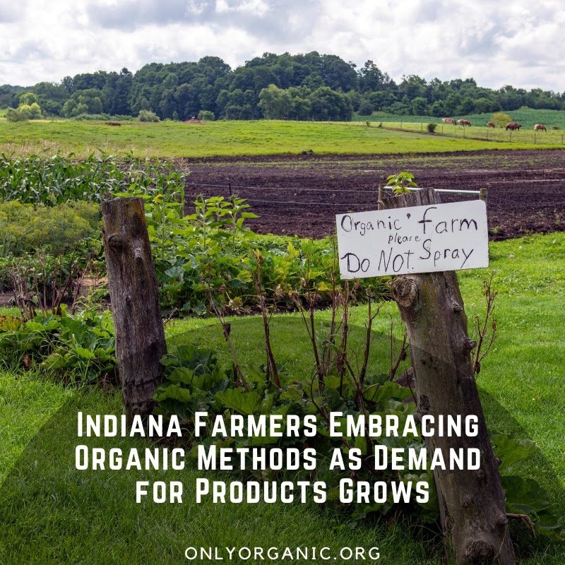 According to an analysis of data in the USDA's 2019 Survey of Organic Agriculture, the number of #organic farms in the U.S. rose more than 50% in the last decade. The country's estimated 16,500 #organicfarms now cover about 5.5 million acres. Read more: yhoo.it/3L1dfvs