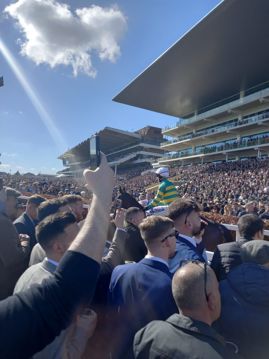 kelmilts's tweet photo. Great Day 🐎🏆 #CheltenhamFestival #GoldCup #CheltenhamFestival2022 https://t.co/nTMbVf3S68