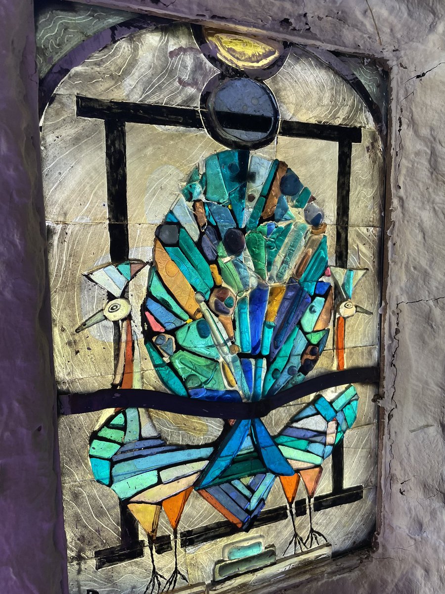 Alice Moxley tweet media