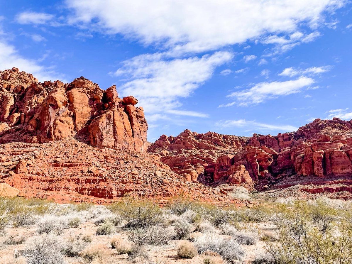 Middlesex School tweet media