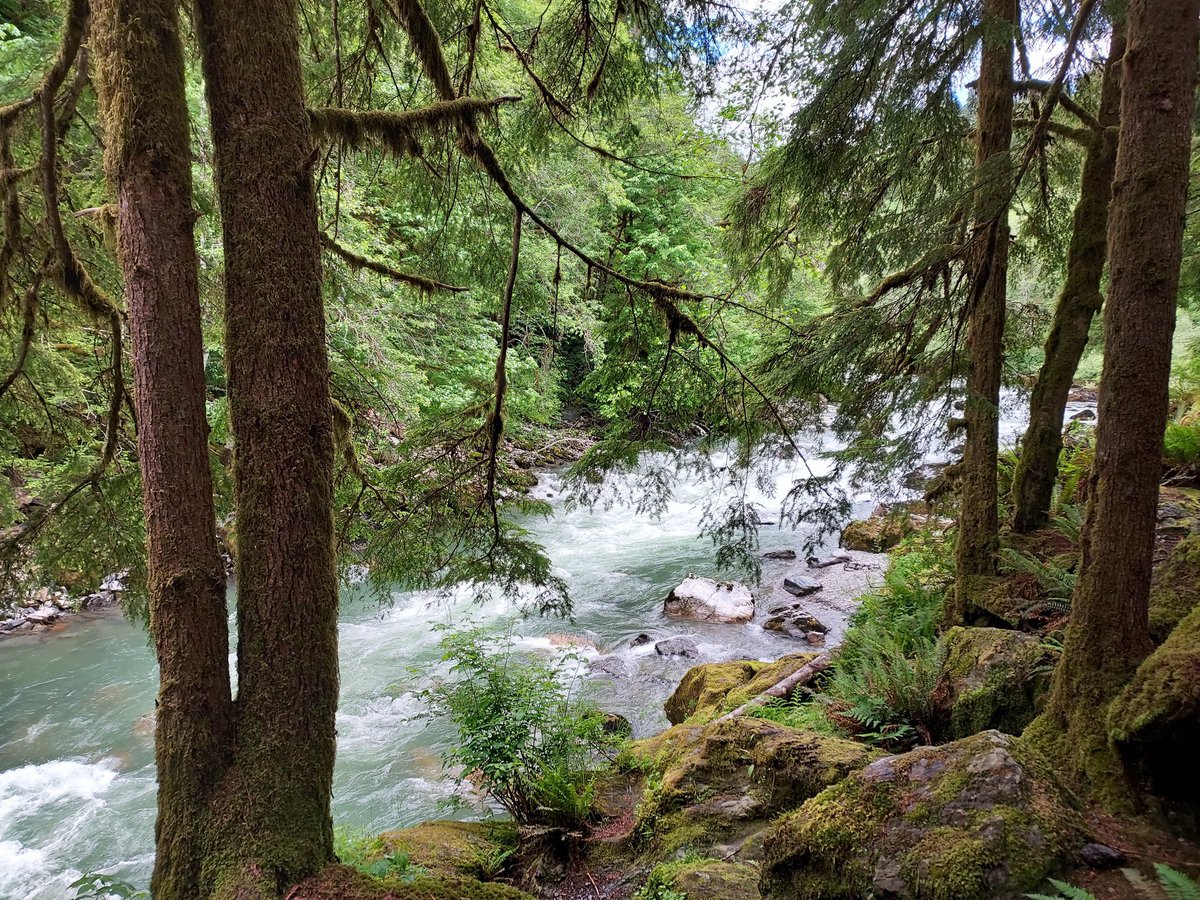 ForestServiceNW's tweet photo. "Wilderness is not a luxury but a necessity of the human spirit." 

—Edward Abbey https://t.co/vPCLL0YzZx