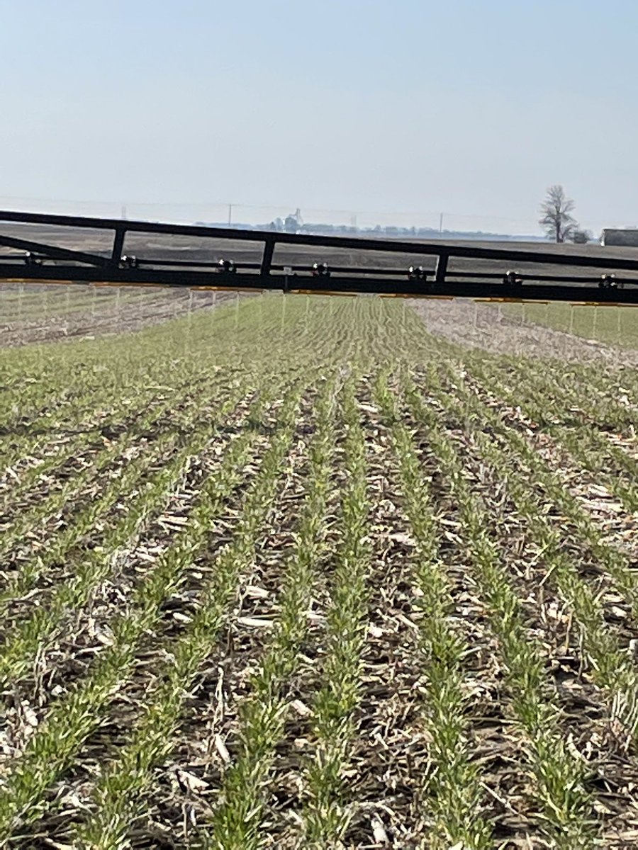 NorthernStarIS's tweet photo. Streaming nitrogen on the wheat increases.  Chafer streambars provide excellent accuracy with no burn.  Contact us for more information. https://t.co/CR1fZZVFsm